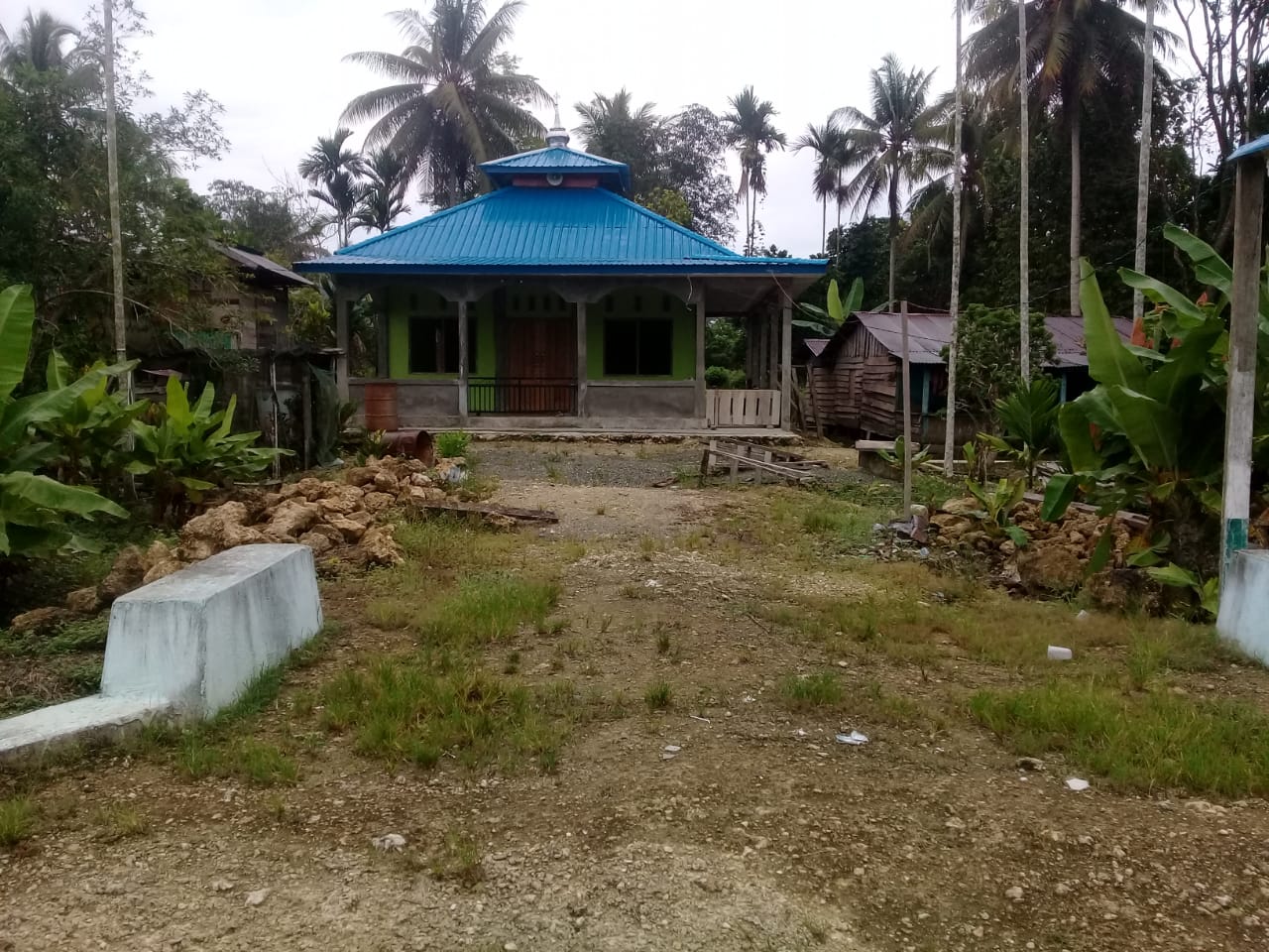 Nurul Mubi'in